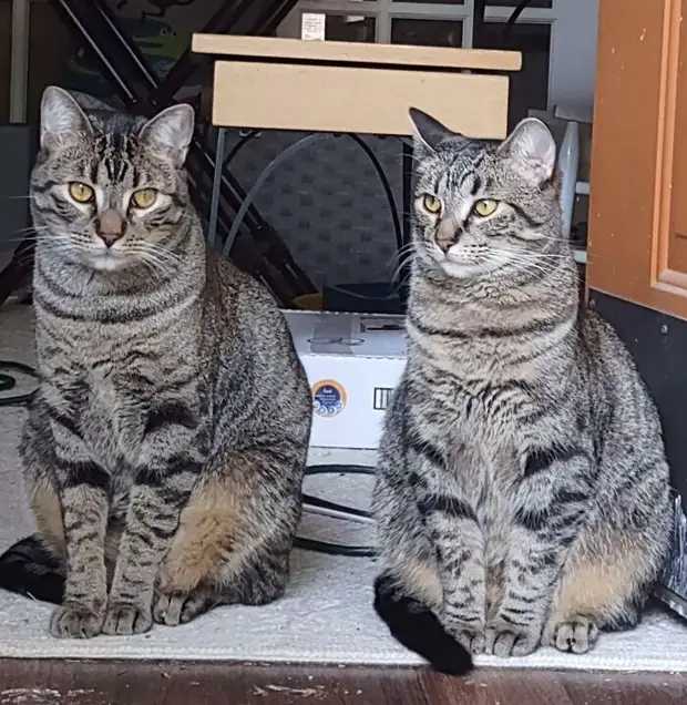 ���� � ������� ��� �������� ���������� � ���� ��������