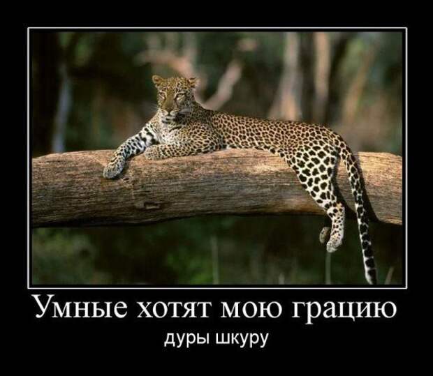 20 забавных воскресных демотиваторов, которые поднимут вам настроение! 20 забавных воскресных демотиваторов, которые поднимут вам настроение!