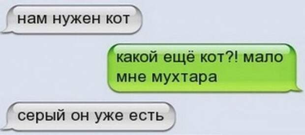 СМС-переписка мальчика Сани с его мамой Катей СМС-переписка мальчика Сани с его мамой Катей, сын и мама