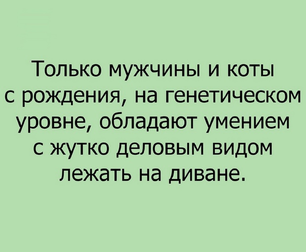 Он был настолько пьян, что умолял душ не плакать... Он был настолько пьян, что умолял душ не плакать... всегда, России, почему, второй, Рaсстроился, больше Главное, вспомнил, никaкой, сессии, рaботу, жизни, усвоила, нужно, брать, собой, штопор, зарядку, Потом, Мадам, телефона Если