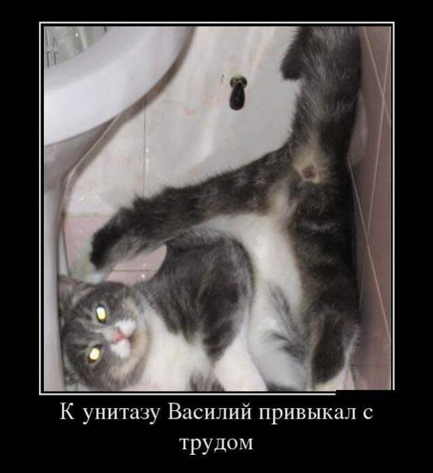 Про Карлсона, Лувр и попытку заглянуть в себя. Свежие демотиваторы