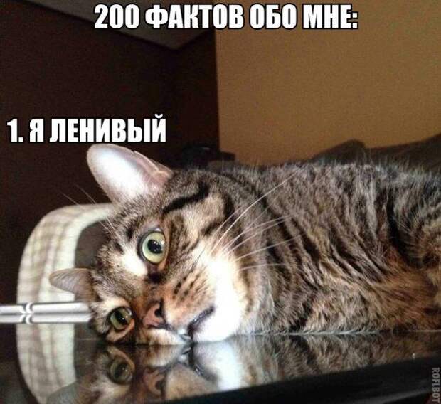 Картинки со смешными подписями картинки, прикол, юмор