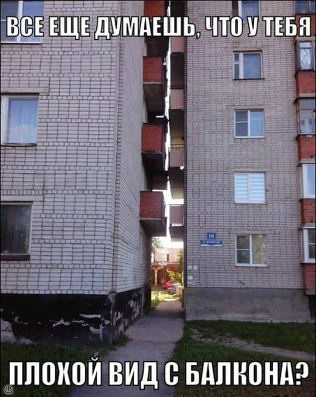 Самые разные курьёзы 27
