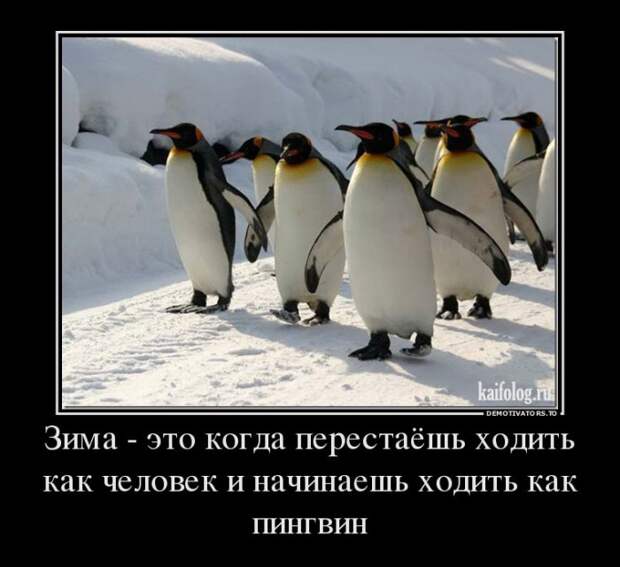 Демотиваторы - 244 (45 демок)
