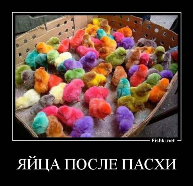 Демотиваторы демотиваторы, прикол, смех, юмор