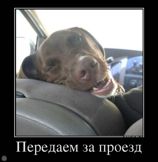 Отдохнул - отдохни ещё! 28