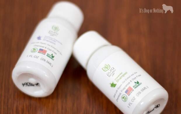 Pet Paw-Looza | Pura Naturals Pet with Great Pyrenees