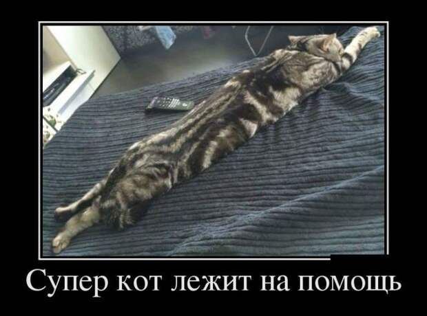 Немного демотиваторов с "бородой" демотиваторы, прикол, юмор