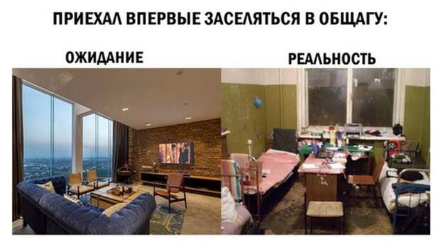 Картинки, юмор, приколы