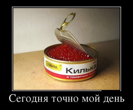Картинки в черных рамках