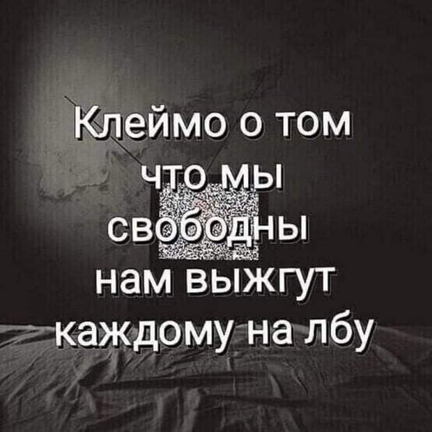 https://sun9-81.userapi.com/impg/ZRNQC8m1qQSTBPXKIhFbxeMwcTv9coTWuj8b0A/u8eW57W6k_4.jpg?size=526x526&quality=96&sign=95670f847afb04f51835325c4b780093&type=album