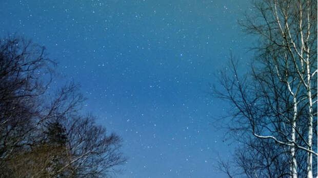 Такой день. Ураган на Алтае и новое рассмотрения дела о мужчине, задушившем жену