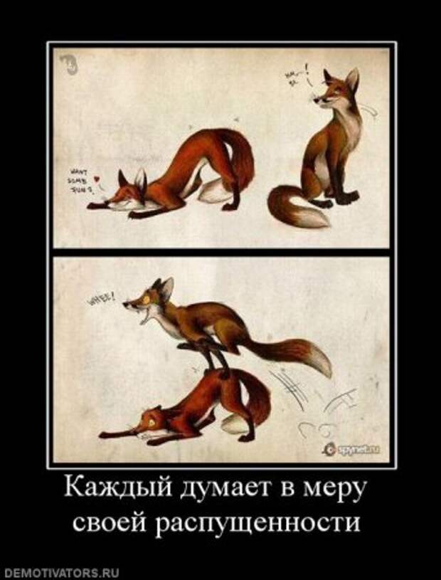 Демотиваторы всякие, смешнее не придумаешь.
