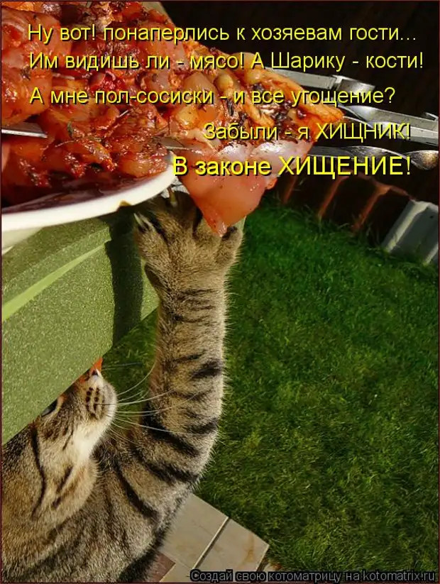Веселые картинки с подписями