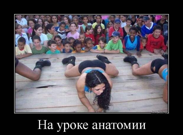 Демотиваторы демотиваторы, прикол, смех, юмор