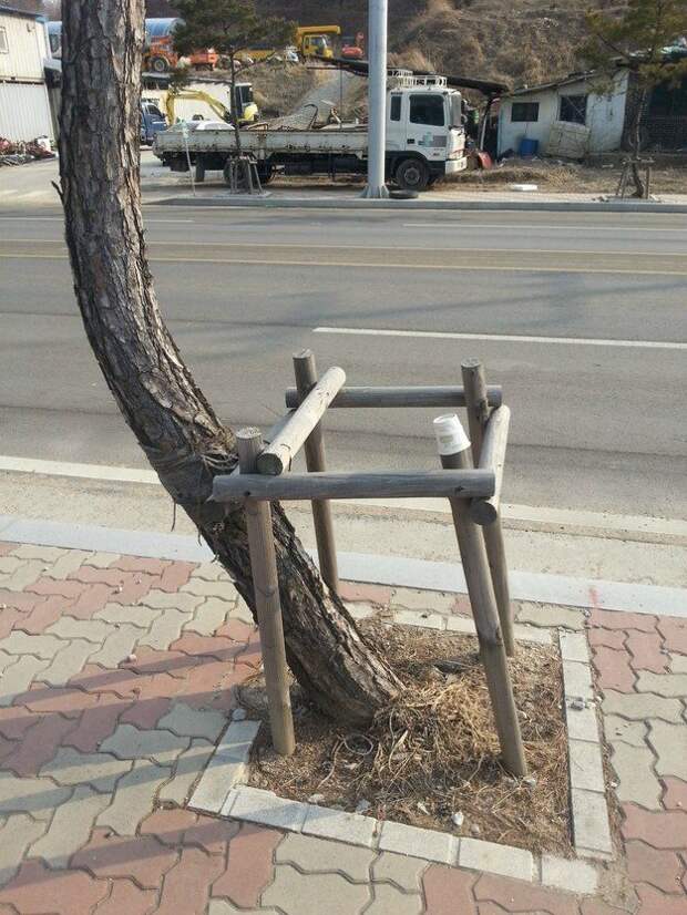 Актуальные приколы