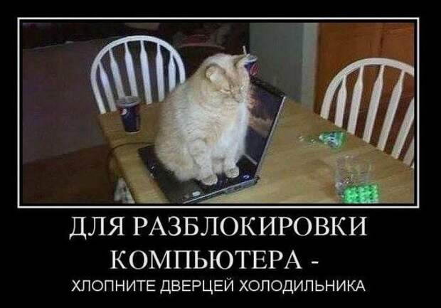Демотиваторы (30 фото)