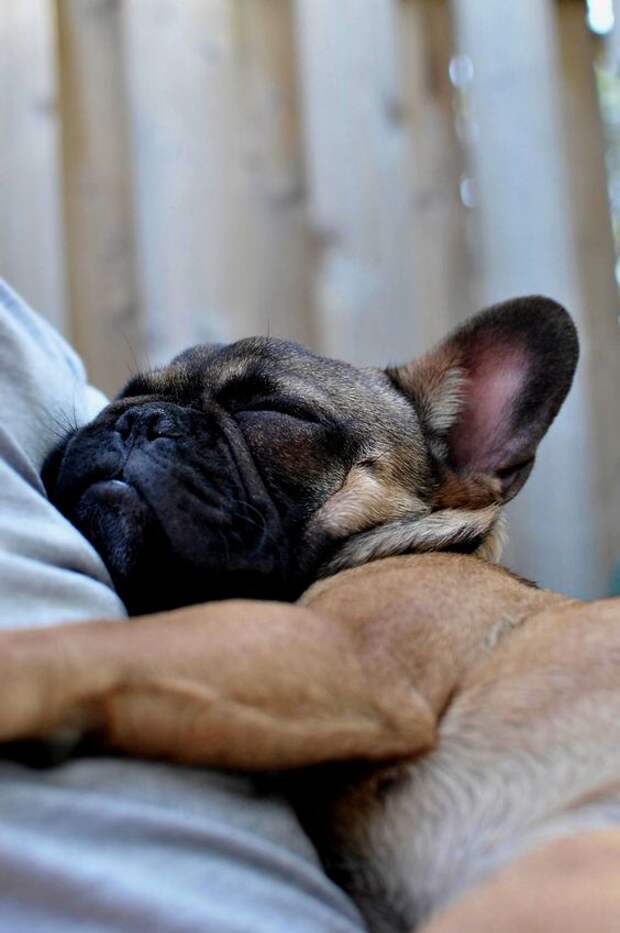 so cutee! sleepy: