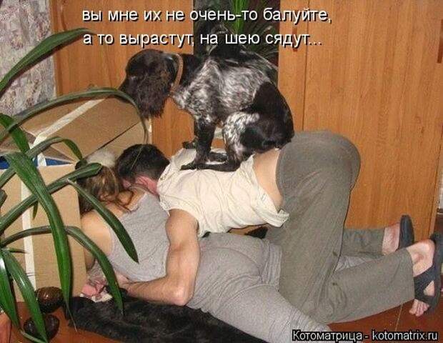 Лучшие котоматрицы недели