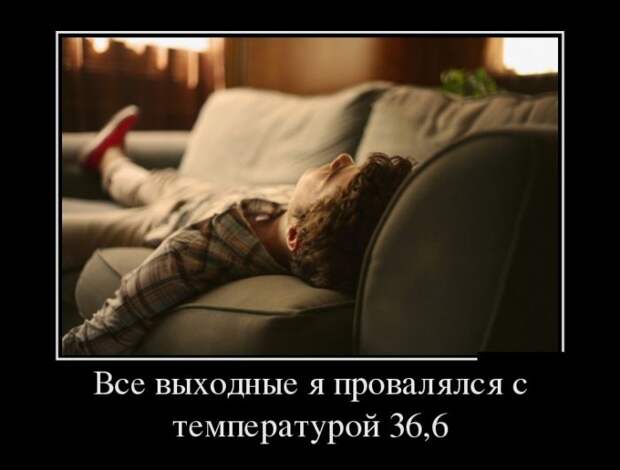 Демотиваторы (30 фото)