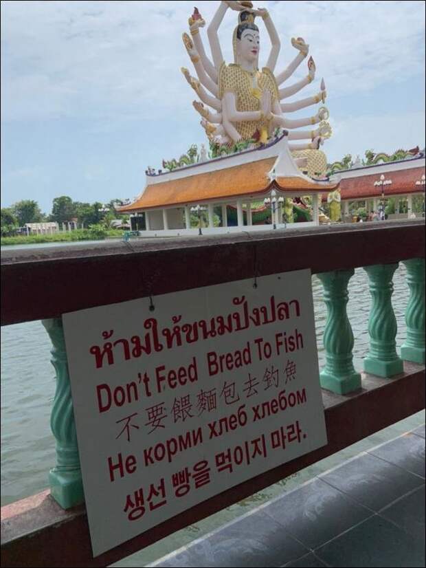 obyavleniya-nadpisi-prikolnye-kartinki-smeshnye-kartinki-fotoprikoly obyavleniya-nadpisi-prikolnye-kartinki-smeshnye-kartinki-fotoprikoly