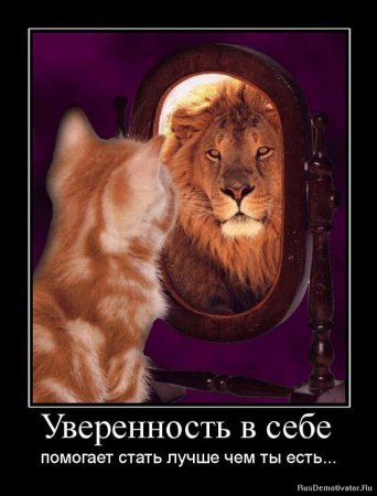 Демотиваторы про людей и любовь со смыслом.