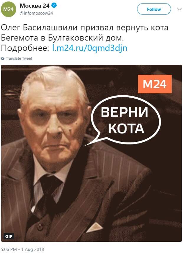Похищение кота Бегемота
