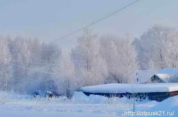 морозный зимний день
