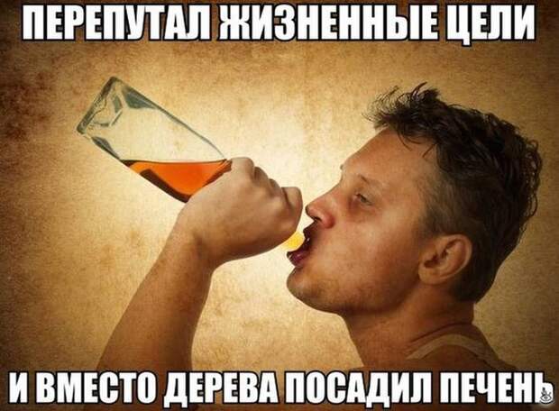 Фотозабавности и фотокурьёзы 27