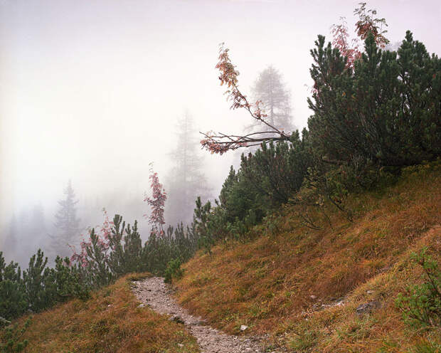 Фотопроект 