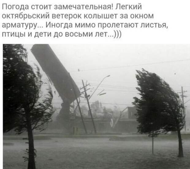 Прикольные картинки абавсём:D Прикольные картинки абавсём:D