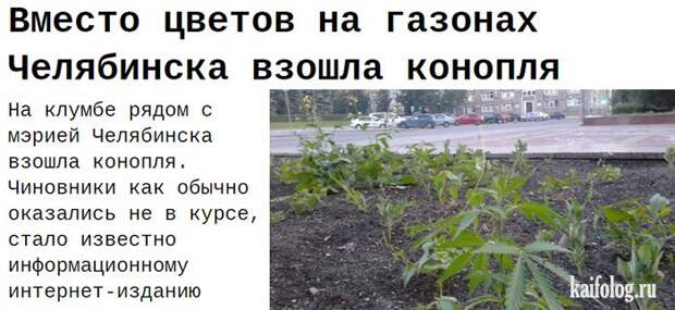 Прикольная Россия - 293 (85 фото)