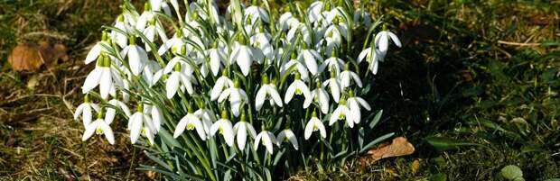 До +16 и ясно: погода в Алматы на 21 марта