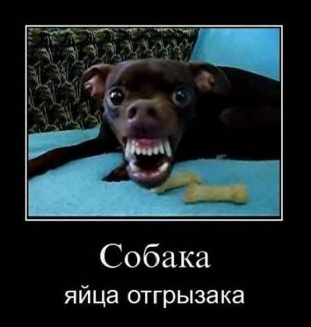 Демотиваторы со смыслом приколы, новая подборка.
