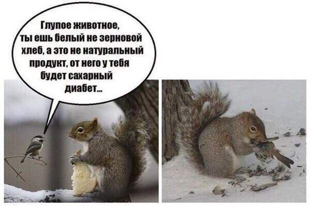 Прикольные картинки