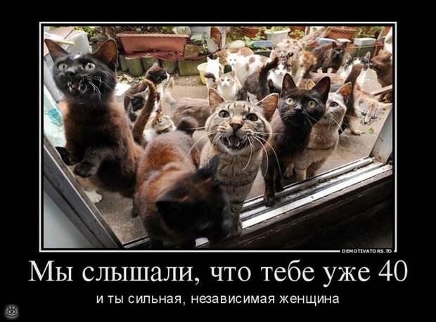 А ты знаешь, что делать со своей жизнью? 40