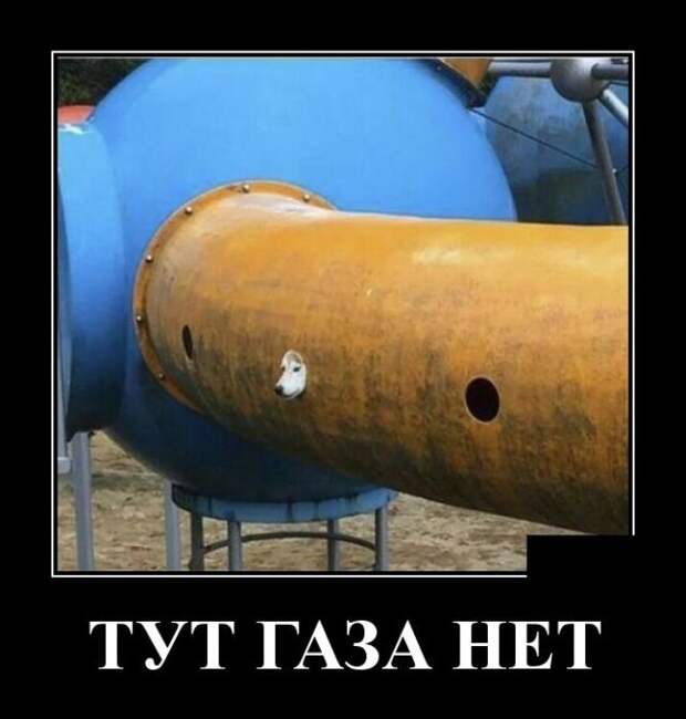 Демотиваторы Демотиваторы