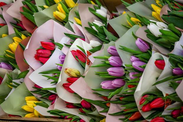 В российском городе мальчику отказались продать цветы для мамы на 8 Марта