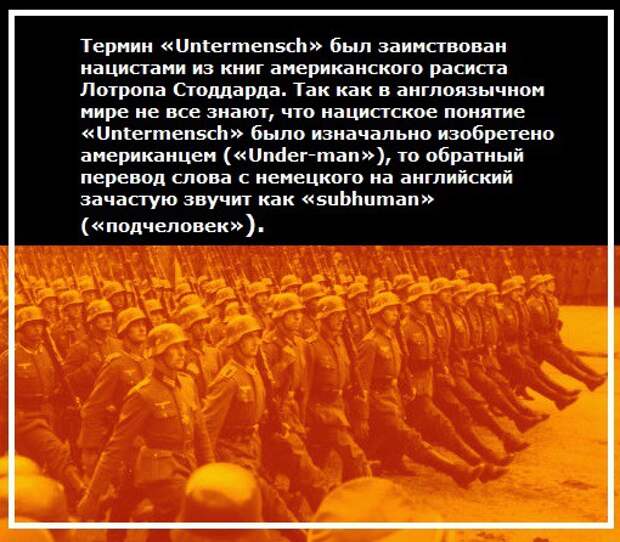 Что должно было быть в СССР по планам Третьего Рейха Третьий  Рейх, планы, ссср