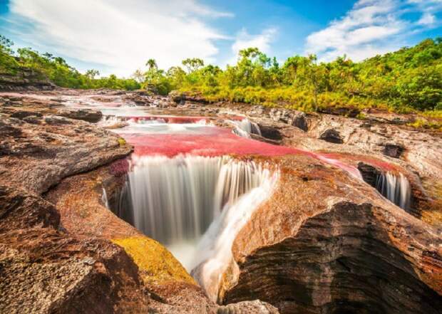 Каньо-Кристалес, радужная река, разноцветная река в Колумбии, красивые пейзажи, самые красивые места 
