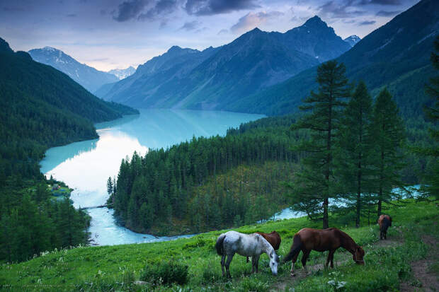 10 самых красивых мест Алтая