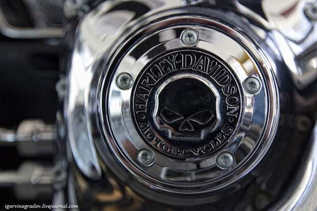 Мотоцикл Harley-Davidson крупным планом (28 фото)