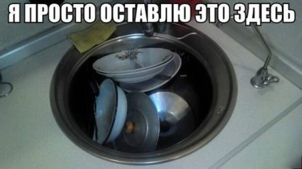 Фото приколы которые веселят.