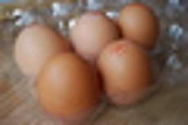 eggs (5)-2