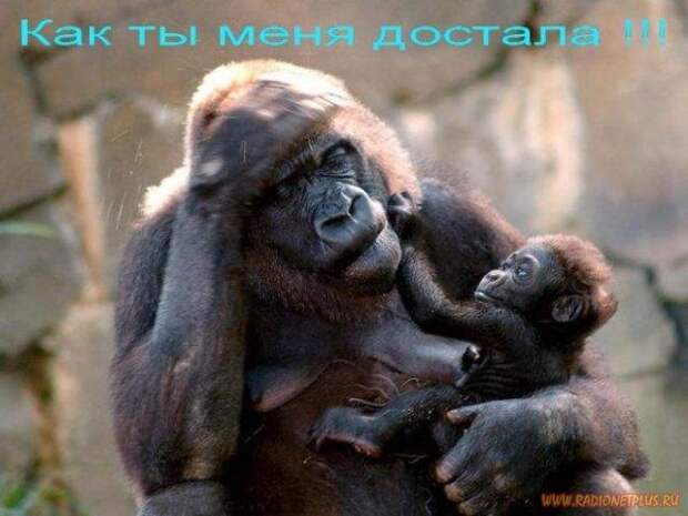 Улыбнись! :) (32повода)