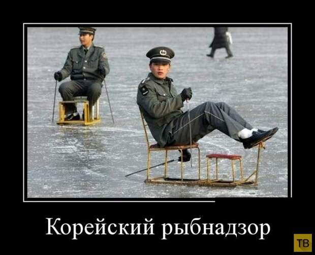 Подборка демотиваторов 30. 10. 2014 (32 фото)