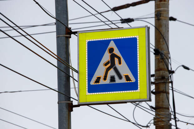 В Тульской области с начала года произошло 240 ДТП с пешеходами