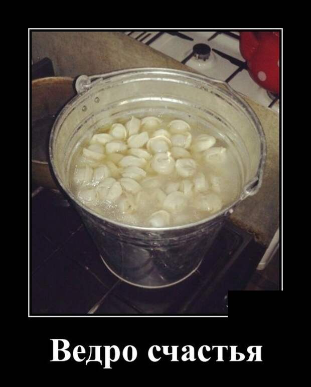 Демотиваторы (20 фото)