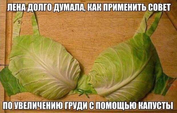 Картинки со смешными подписями