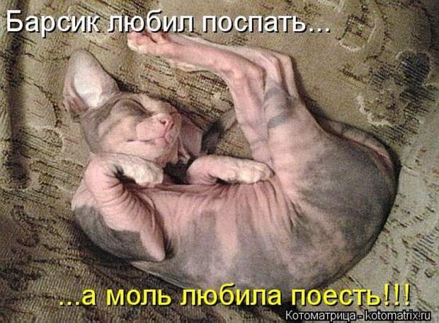 Мысли вслух Мысли вслух